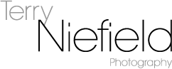 Niefield Logo